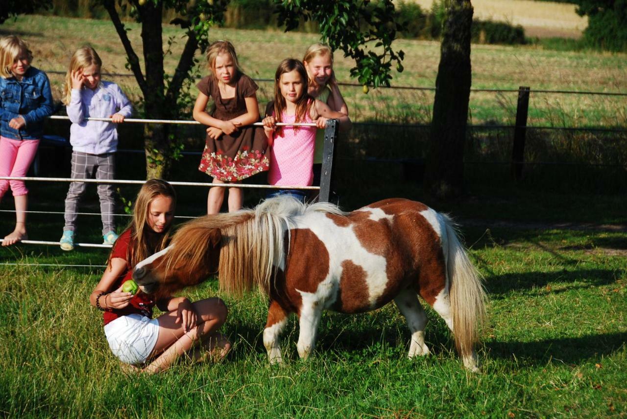 Ferienhof Blunck Wangels Dış mekan fotoğraf